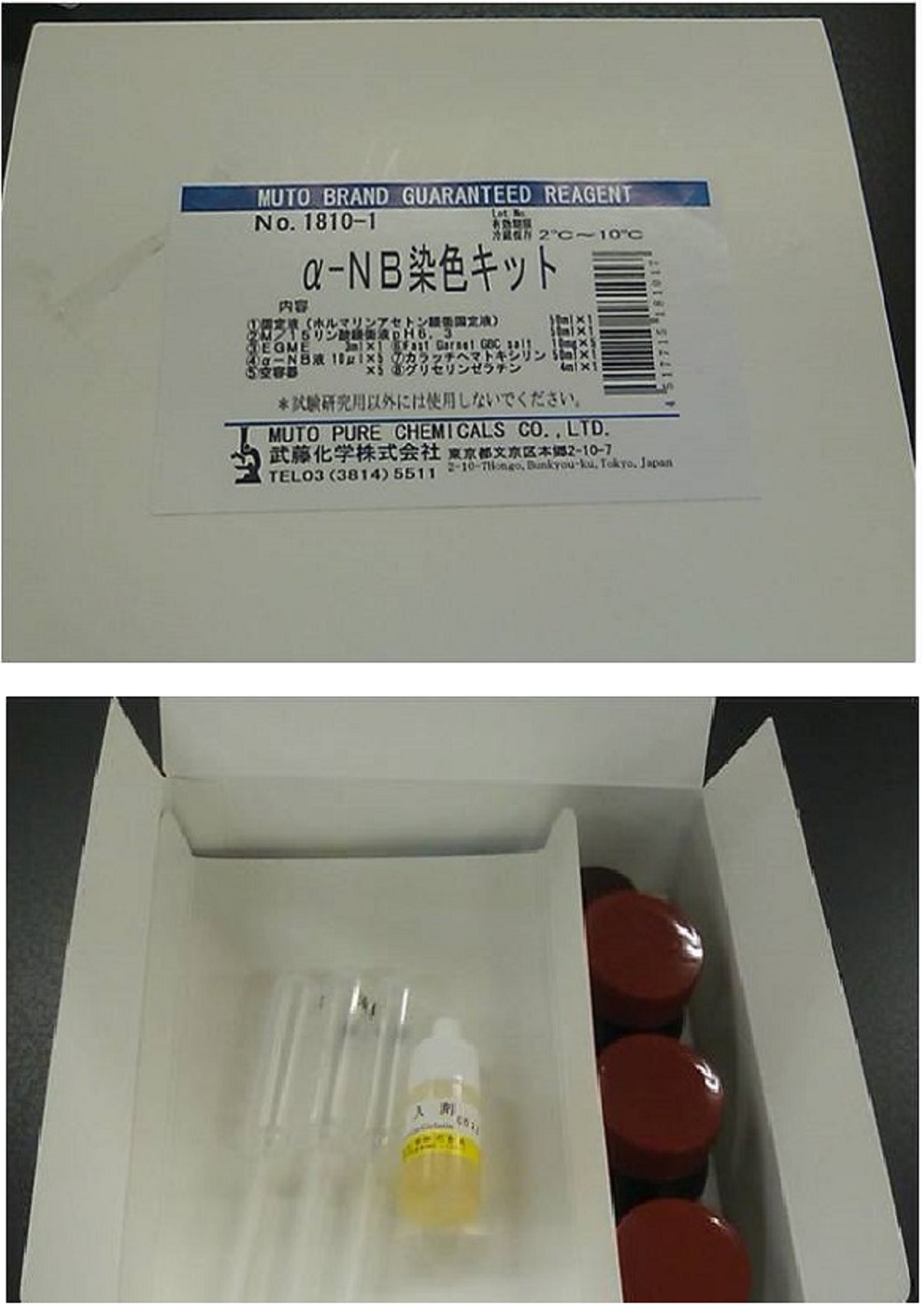 α-NB Stain Kit